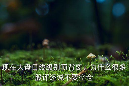 現在大盤日線級別頂背離，為什么很多股評還說不要空倉