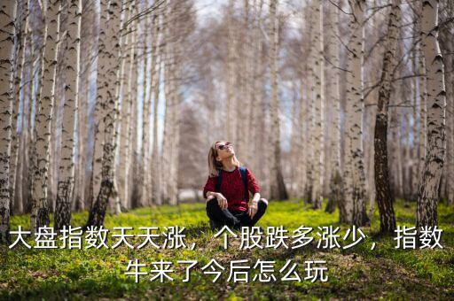 大盤指數(shù)天天漲，個股跌多漲少，指數(shù)牛來了今后怎么玩
