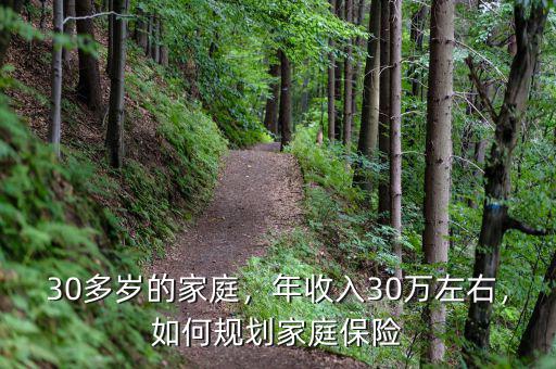 30多歲的家庭，年收入30萬左右，如何規(guī)劃家庭保險