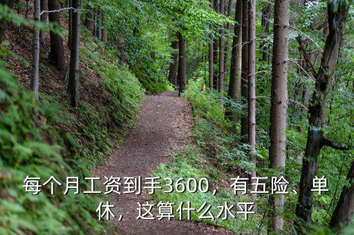 每個月工資到手3600，有五險、單休，這算什么水平