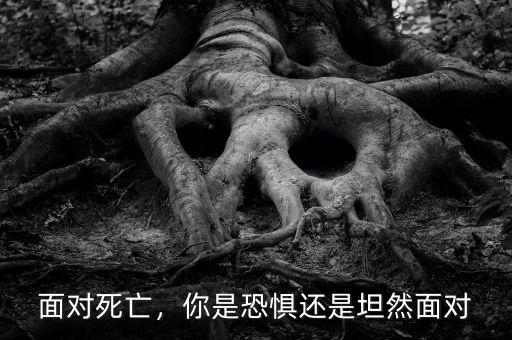 面對死亡，你是恐懼還是坦然面對