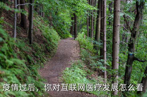 疫情過后，你對互聯(lián)網(wǎng)醫(yī)療發(fā)展怎么看