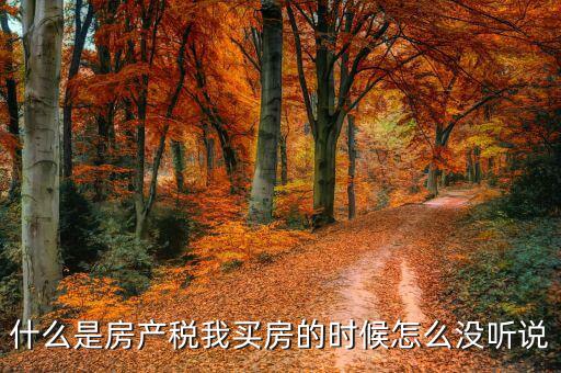 什么是房產(chǎn)稅我買房的時(shí)候怎么沒(méi)聽說(shuō)
