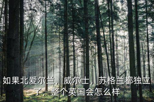 蘇格蘭經(jīng)濟(jì)怎么樣,蘇格蘭都獨立了
