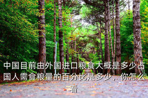 中國(guó)目前由外國(guó)進(jìn)口糧食大概是多少占國(guó)人需食糧量的百分比是多少，你怎么看