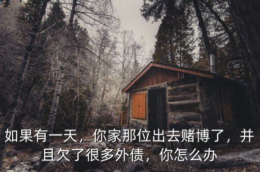 如果有一天，你家那位出去賭博了，并且欠了很多外債，你怎么辦