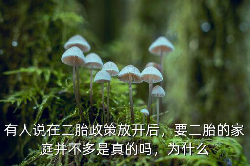 有人說在二胎政策放開后，要二胎的家庭并不多是真的嗎，為什么
