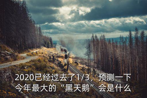 2020已經(jīng)過去了1/3，預(yù)測(cè)一下今年最大的“黑天鵝”會(huì)是什么