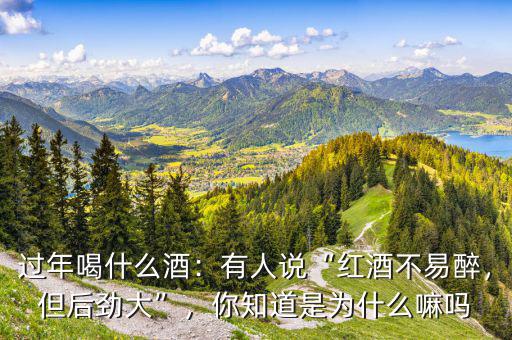 過年喝什么酒：有人說“紅酒不易醉，但后勁大”，你知道是為什么嘛嗎