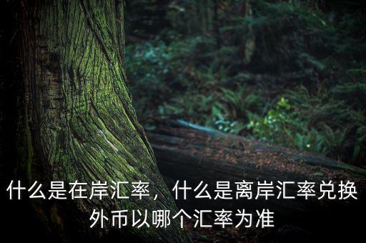 什么是在岸匯率，什么是離岸匯率兌換外幣以哪個匯率為準(zhǔn)