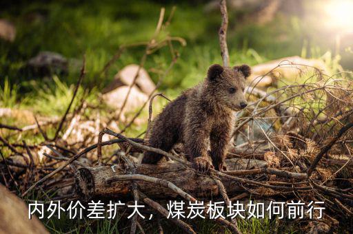 內外價差擴大，煤炭板塊如何前行
