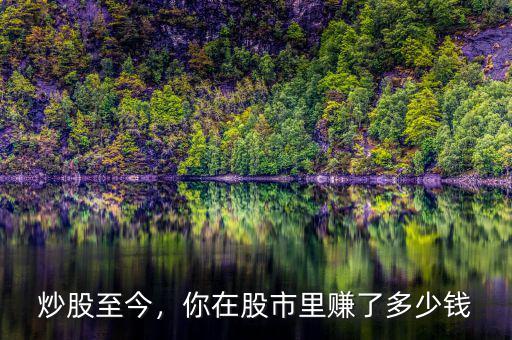 炒股至今，你在股市里賺了多少錢