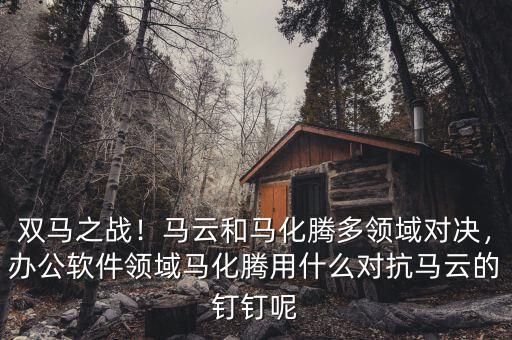 雙馬之戰(zhàn)！馬云和馬化騰多領域?qū)Q，辦公軟件領域馬化騰用什么對抗馬云的釘釘呢