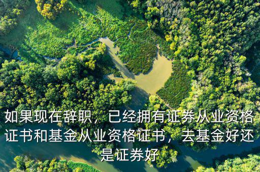 如果現(xiàn)在辭職，已經(jīng)擁有證券從業(yè)資格證書和基金從業(yè)資格證書，去基金好還是證券好