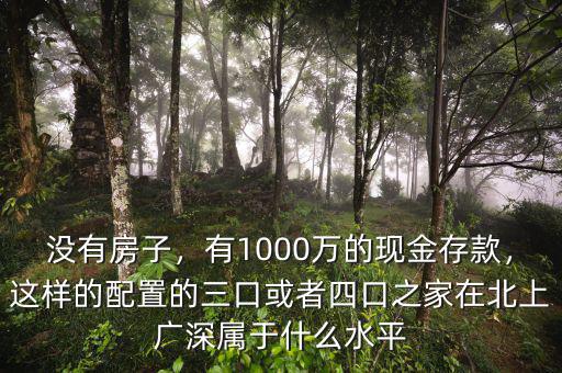 沒有房子，有1000萬的現(xiàn)金存款，這樣的配置的三口或者四口之家在北上廣深屬于什么水平