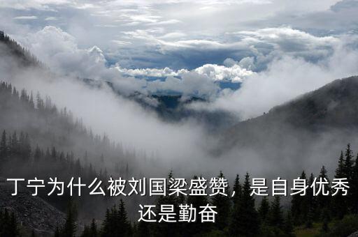丁寧為什么被劉國(guó)梁盛贊，是自身優(yōu)秀還是勤奮