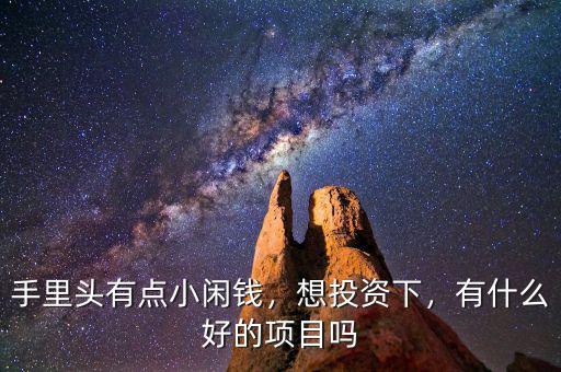 手里頭有點小閑錢，想投資下，有什么好的項目嗎