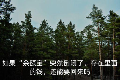 如果“余額寶”突然倒閉了，存在里面的錢，還能要回來嗎