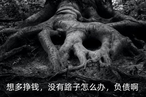 想多掙錢，沒有路子怎么辦，負(fù)債啊