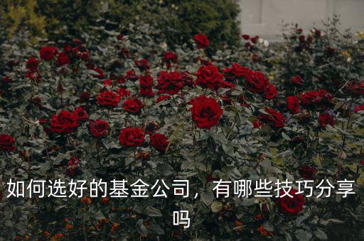如何選好的基金公司，有哪些技巧分享嗎