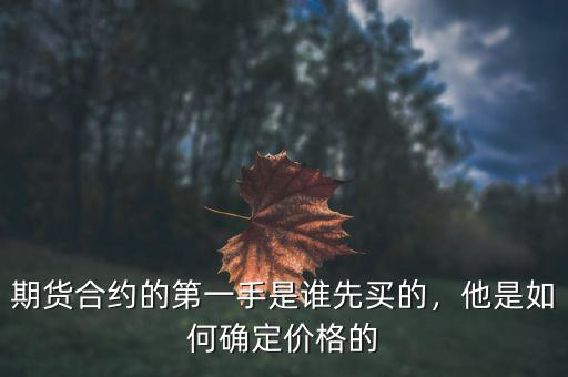 期貨合約的第一手是誰(shuí)先買的，他是如何確定價(jià)格的