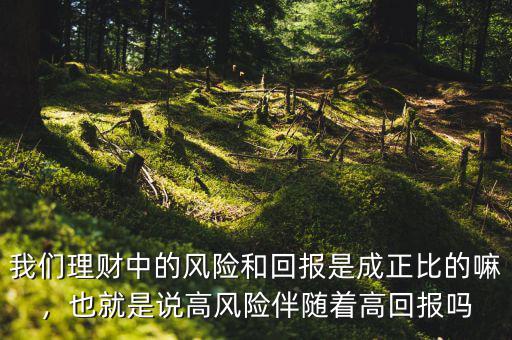 我們理財(cái)中的風(fēng)險(xiǎn)和回報(bào)是成正比的嘛，也就是說高風(fēng)險(xiǎn)伴隨著高回報(bào)嗎