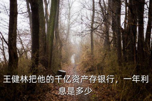 王健林資產多少億人民幣,王健林把他的千億資產存銀行