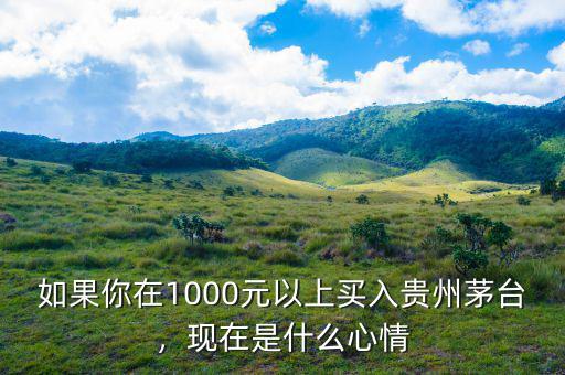 如果你在1000元以上買入貴州茅臺(tái)，現(xiàn)在是什么心情
