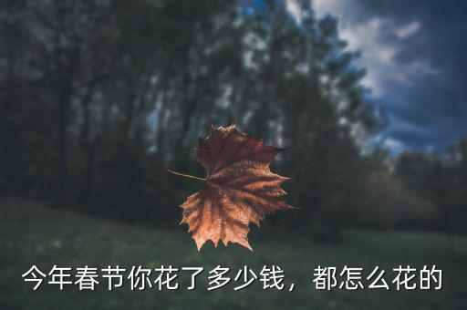 今年春節(jié)你花了多少錢，都怎么花的