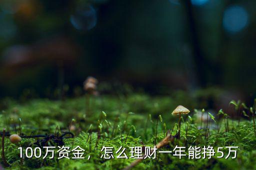 100萬資金，怎么理財(cái)一年能掙5萬