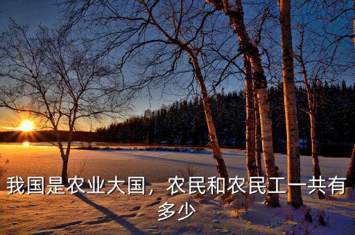我國是農(nóng)業(yè)大國，農(nóng)民和農(nóng)民工一共有多少