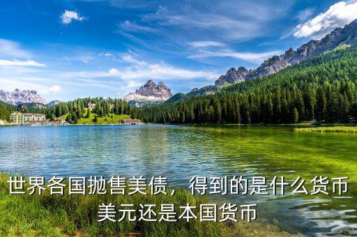 世界各國(guó)拋售美債，得到的是什么貨幣美元還是本國(guó)貨幣