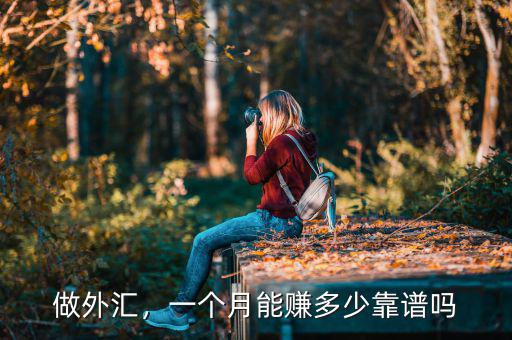 做外匯，一個月能賺多少靠譜嗎