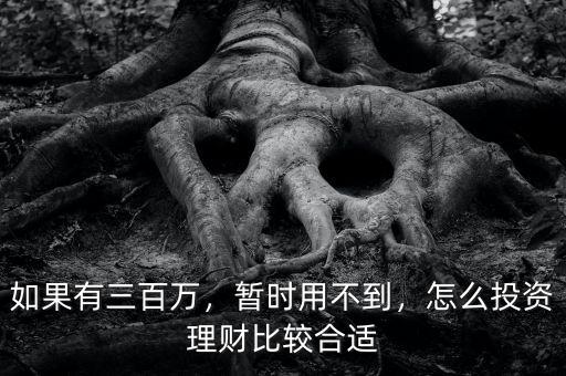 如果有三百萬(wàn)，暫時(shí)用不到，怎么投資理財(cái)比較合適