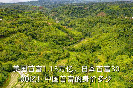 美國(guó)首富1.15萬(wàn)億，日本首富3000億！中國(guó)首富的身價(jià)多少