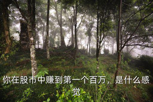 你在股市中賺到第一個(gè)百萬(wàn)，是什么感覺(jué)
