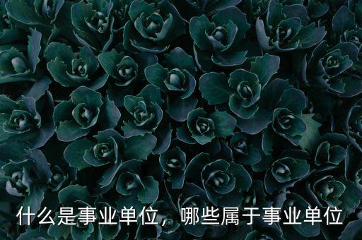 什么是事業(yè)單位，哪些屬于事業(yè)單位
