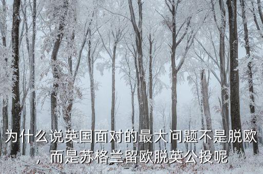 為什么說(shuō)英國(guó)面對(duì)的最大問題不是脫歐，而是蘇格蘭留歐脫英公投呢