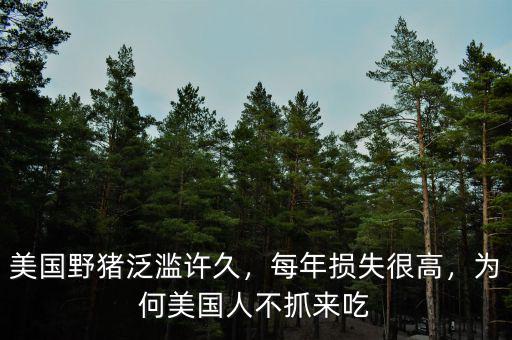 美國(guó)野豬泛濫許久，每年損失很高，為何美國(guó)人不抓來(lái)吃