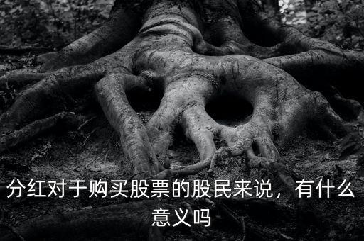 分紅對于購買股票的股民來說，有什么意義嗎