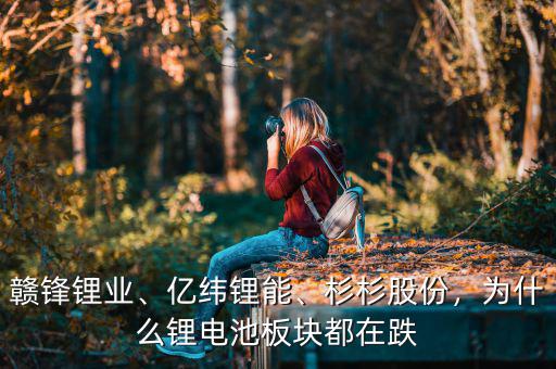 贛鋒鋰業(yè)、億緯鋰能、杉杉股份，為什么鋰電池板塊都在跌