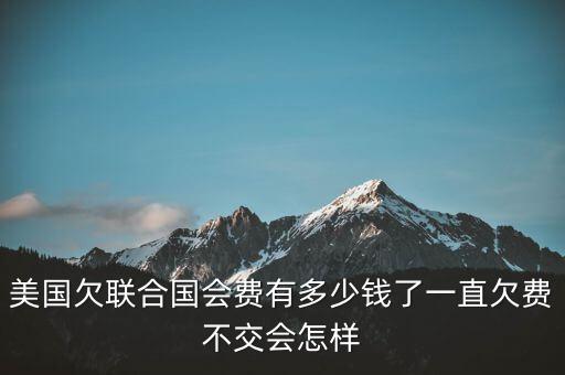 美國(guó)欠聯(lián)合國(guó)會(huì)費(fèi)有多少錢(qián)了一直欠費(fèi)不交會(huì)怎樣