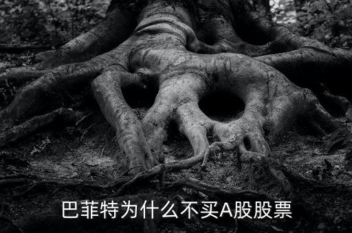 巴菲特什么時(shí)候買的比亞迪股票,為什么說(shuō)帶輪子的股票不能買