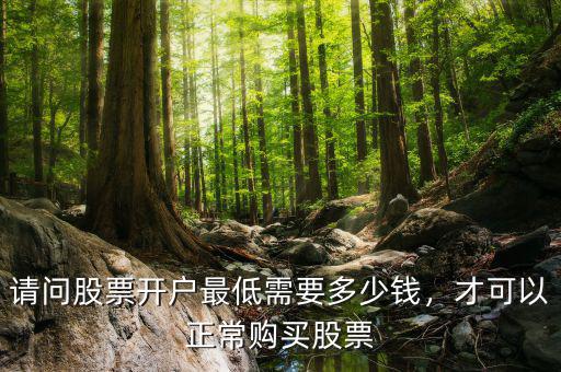 請(qǐng)問(wèn)股票開(kāi)戶最低需要多少錢(qián)，才可以正常購(gòu)買(mǎi)股票