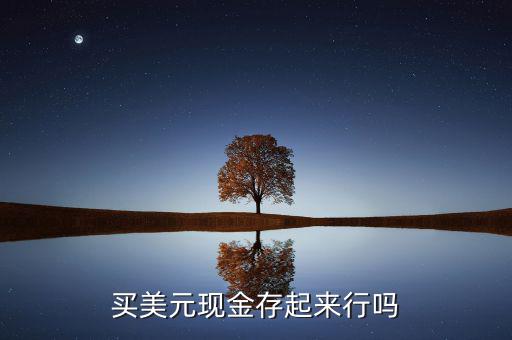 買美元現(xiàn)金存起來(lái)行嗎