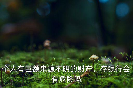 個人有巨額來源不明的財產(chǎn)，存銀行會有危險嗎