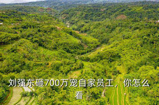劉強(qiáng)東砸700萬寵自家員工，你怎么看