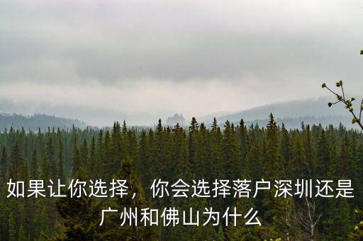 如果讓你選擇，你會選擇落戶深圳還是廣州和佛山為什么