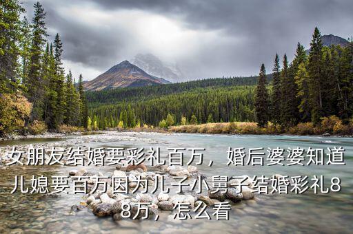 女朋友結(jié)婚要彩禮百萬，婚后婆婆知道兒媳要百萬因為兒子小舅子結(jié)婚彩禮88萬，怎么看