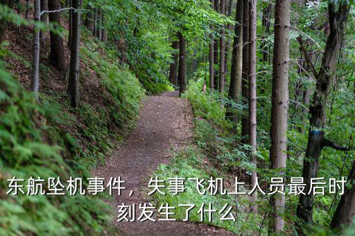 東航墜機(jī)事件，失事飛機(jī)上人員最后時(shí)刻發(fā)生了什么
